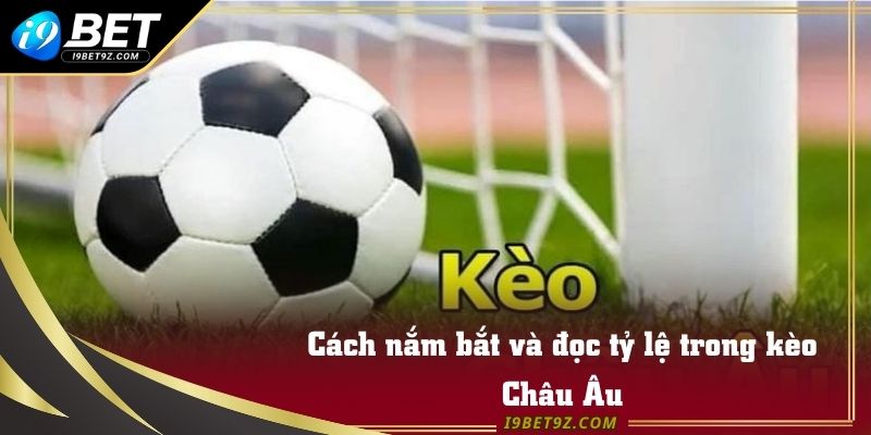 Cách nắm bắt và đọc tỷ lệ trong kèo Châu Âu