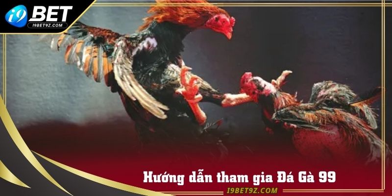 Cách tham gia sân chơi đá gà 99 luôn thắng lớn