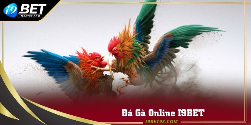 đá gà online tại I9BET